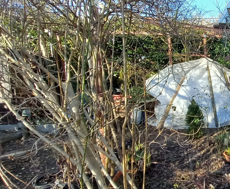  - 2024 - 04 - 2025 - 00 - Iarna