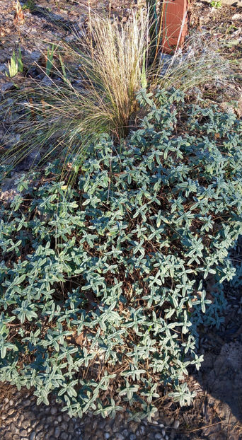  - 2024 - 04 - 2025 - 00 - Iarna