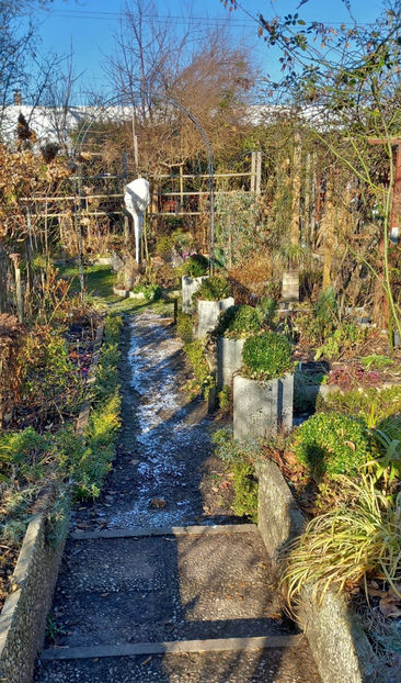  - 2024 - 04 - 2025 - 00 - Iarna