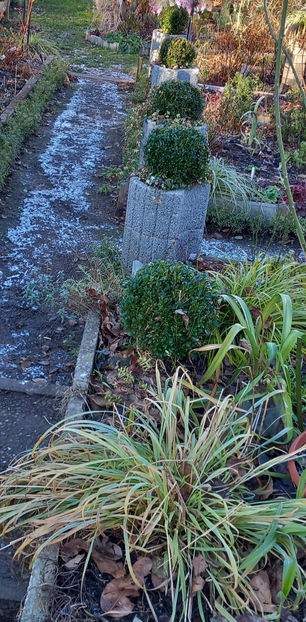  - 2024 - 04 - 2025 - 00 - Iarna