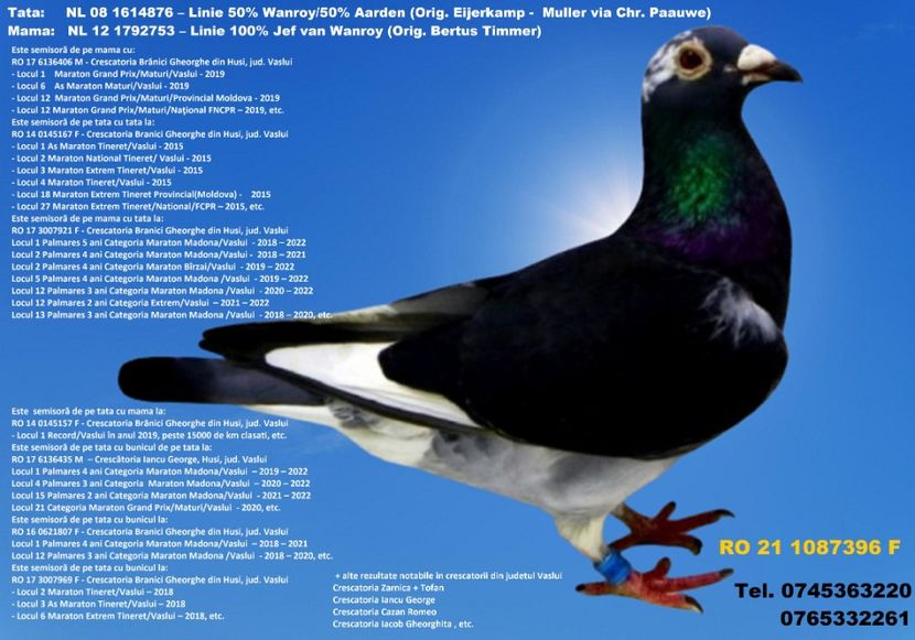 RO 21 1087396 F REZERVATA BUZAU 2 - ARHIVA