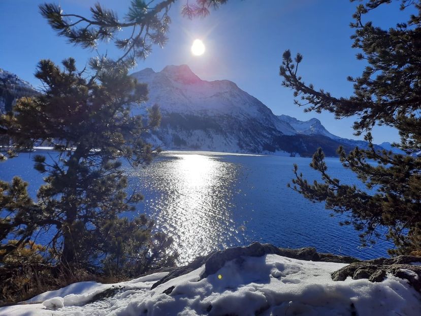 IMG-20241225-WA0000 - Iarna