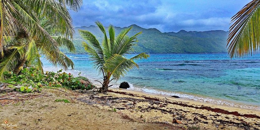 Beautiful Dominican Rep 7 - --- DOMINICAN REPUBLIC