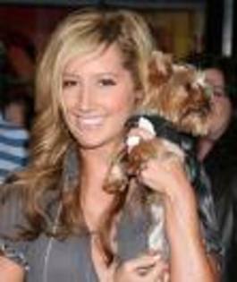 Ashlry - Ashley Tisdale