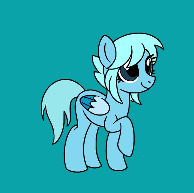  - 04 MLP 00