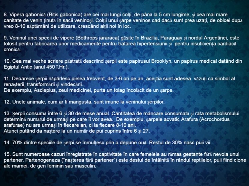 22 de curiozitati interesante despre ... serpi - Curiozități