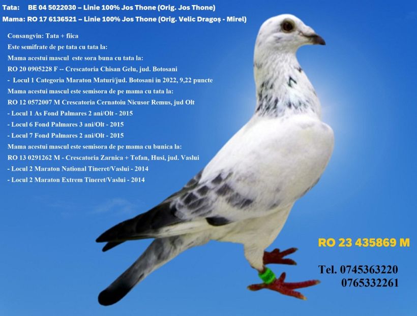 RO 23 435869 M REZERVAT GAITAN DUMITRU - ARHIVA