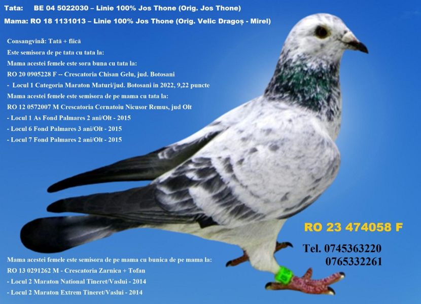 RO 23 474058 F REZERVATA NEMTESCU COSTIN GIURGIU PRET 200 Lei + transportul - ARHIVA