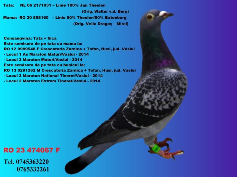 RO 23 474067 F REZERVATA NEMTESCU COSTIN GIURGIU PRET 150 Lei + transportul - ARHIVA