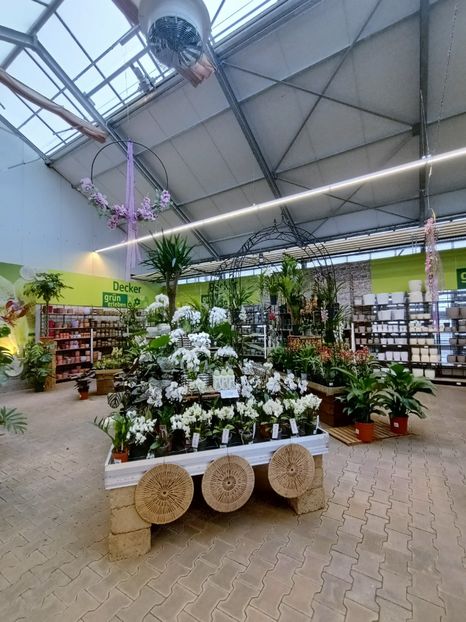 Img.2025.01.15 - Expoziția de orhidee