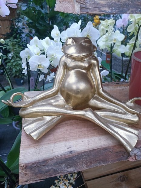 Img.2025.01.15 - Expoziția de orhidee