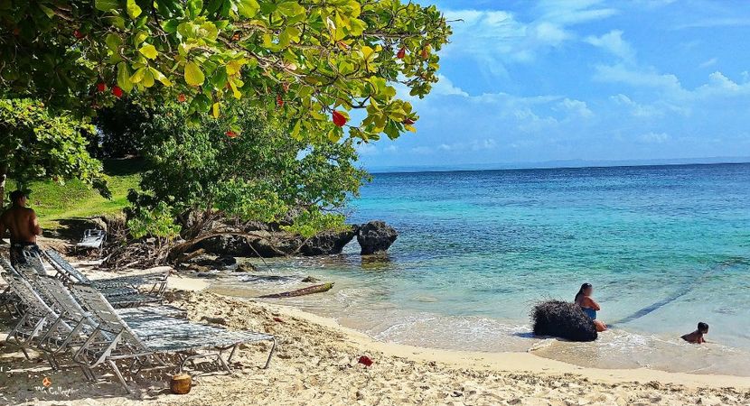 Beautiful Dominican Rep 6 - --- DOMINICAN REPUBLIC