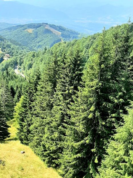  - Concediu 2023 Valea Jiului pesteri