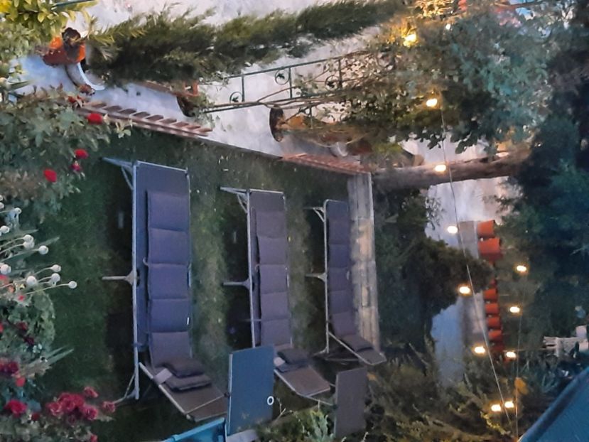  - Decorațiuni gradina mea
