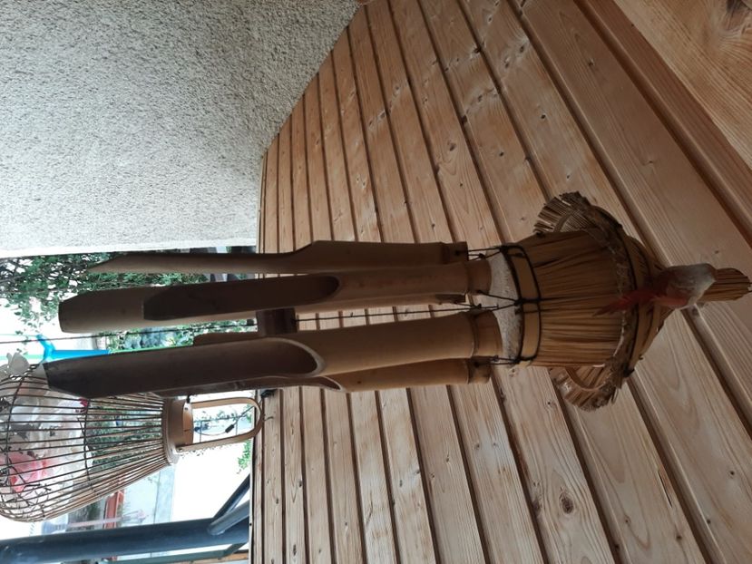  - Decorațiuni gradina mea