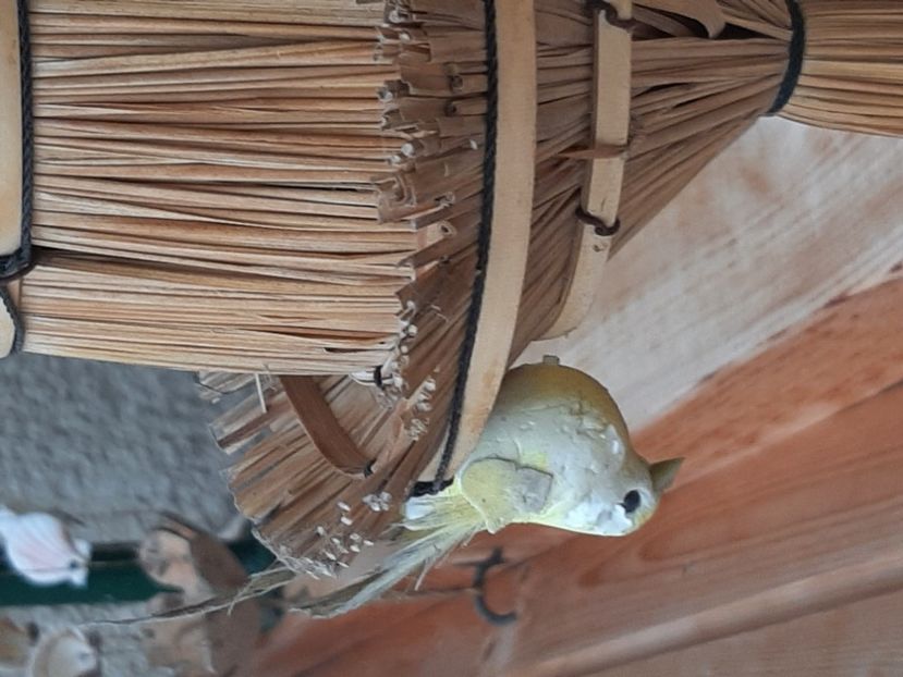  - Decorațiuni gradina mea