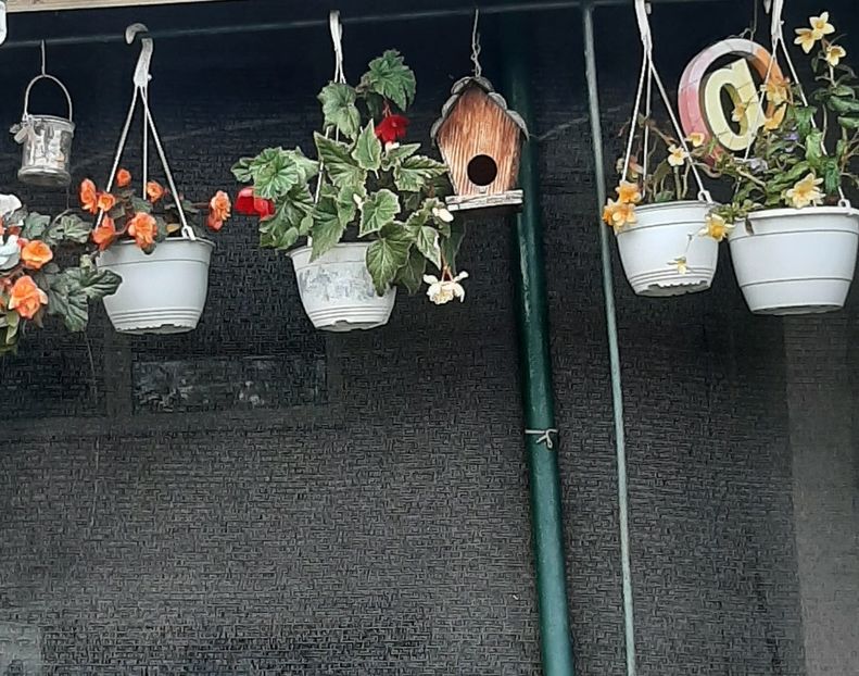  - Decorațiuni gradina mea