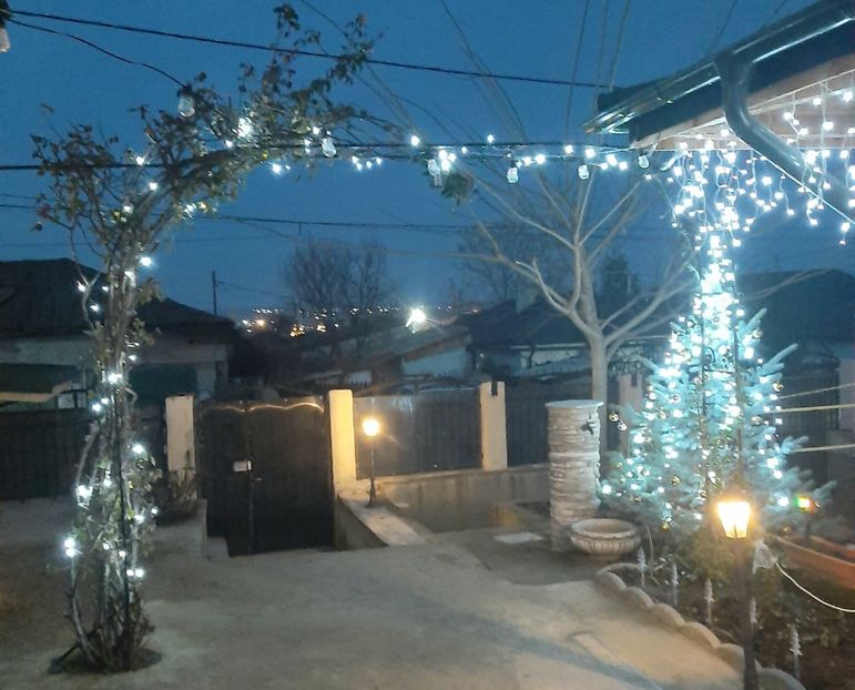  - Peisaj iarna 2023 gradina mea