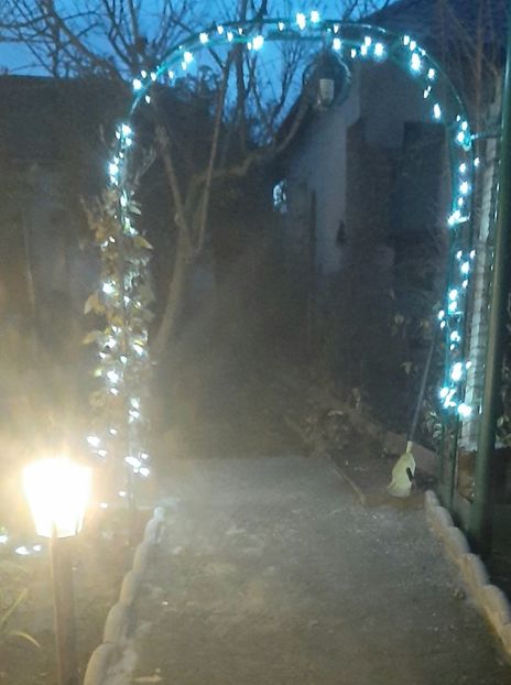  - Peisaj iarna 2023 gradina mea
