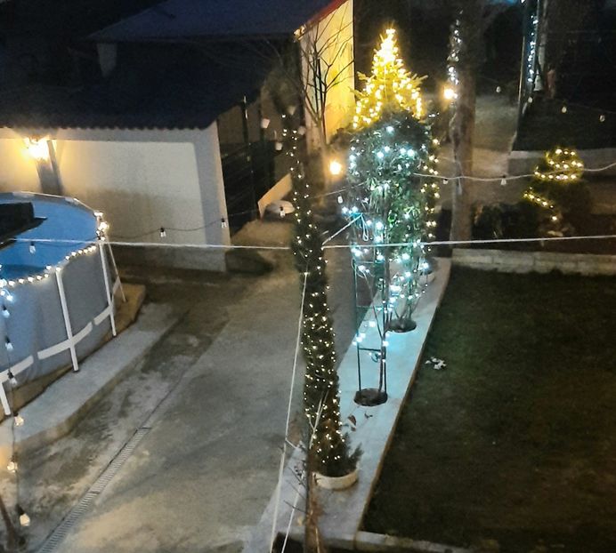  - Peisaj iarna 2023 gradina mea