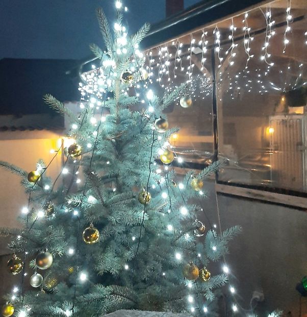  - Peisaj iarna 2023 gradina mea