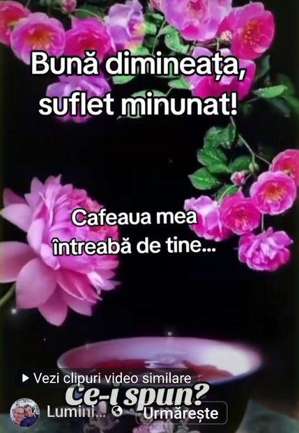 dc568af0-7d98-4b14-85ef-005cec530801-1_all_7812 - Florile mele 2024