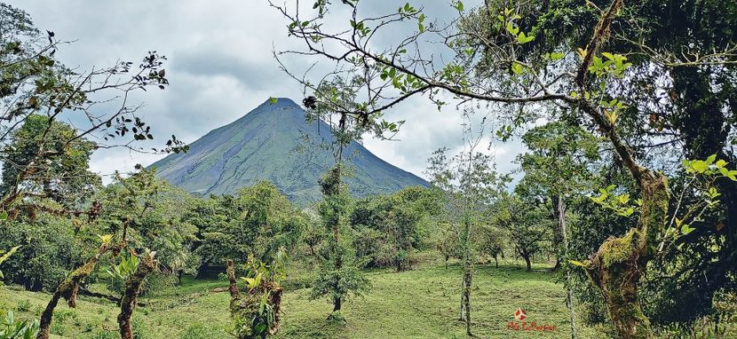 COSTA  RICA - ARENAL VOLCANO 1 - --- COSTA RICA