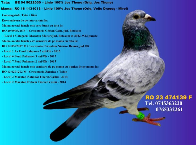 RO 23 474139 F REZERVATA  Pret FIX 300 Lei + transportul - PENTRU POSTAT SI REPOSTAT