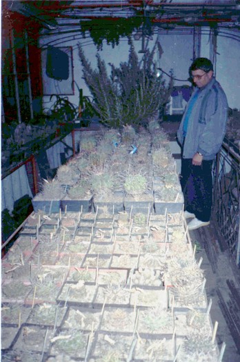 Burcelen Gheorghe - Colectionari