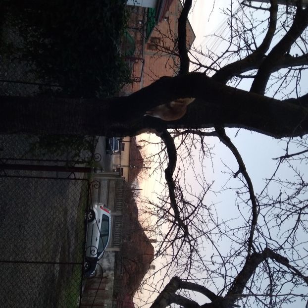 .trashed-1738474561-20250102_170029 - 22 ianuarie 2025