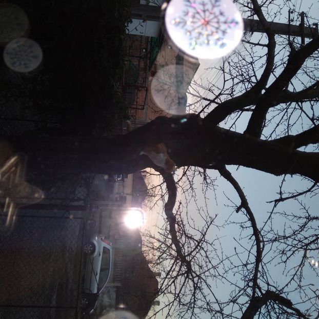 .trashed-1738474566-20250102_170018 - 22 ianuarie 2025