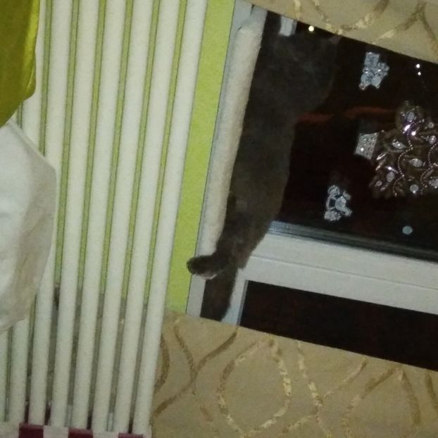 .trashed-1739357640-20250112_213354 - 22 ianuarie 2025