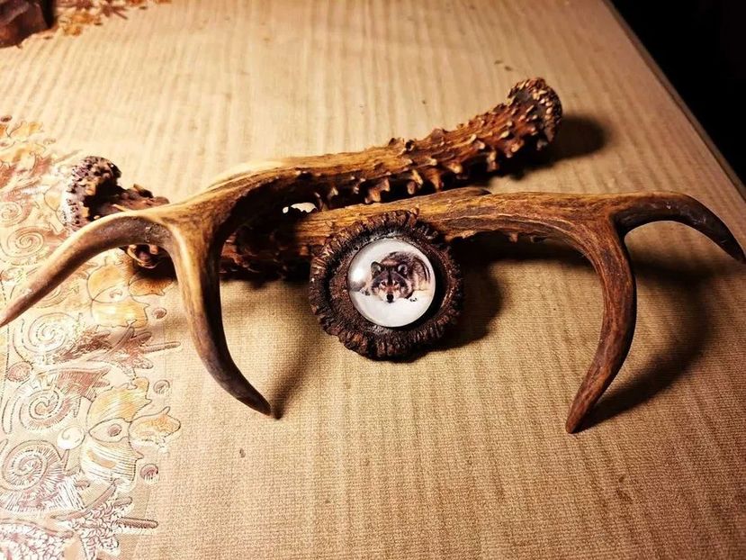 Pafta pentru curea din rozeta de cerb_1 - Seturi de trofee pentru decoruri rustice în vile și pensiuni