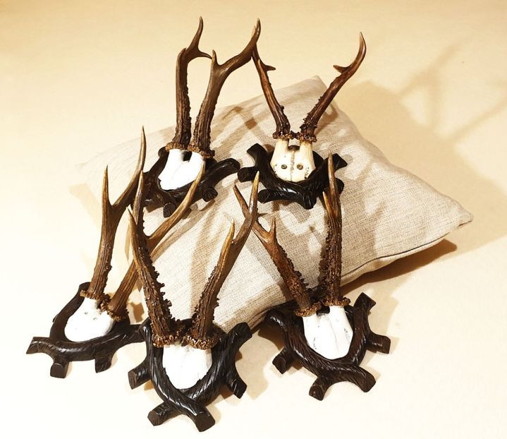 Set de cinci capriori rustici_1 - Seturi de trofee pentru decoruri rustice în vile și pensiuni