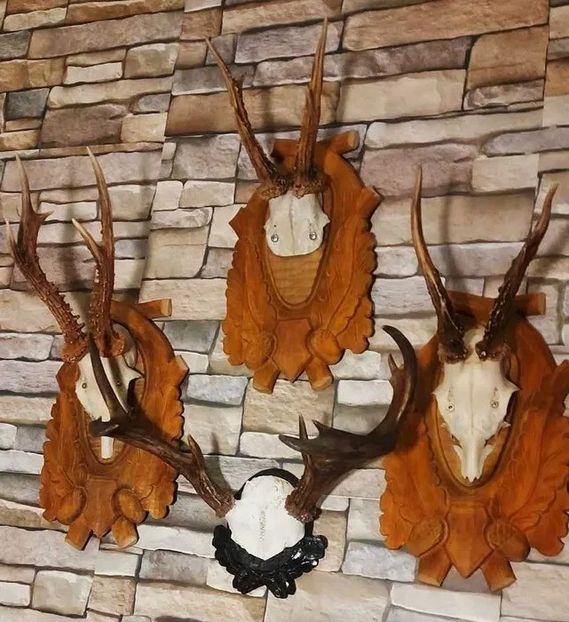  - Seturi de trofee pentru decoruri rustice în vile și pensiuni