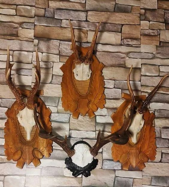  - Seturi de trofee pentru decoruri rustice în vile și pensiuni