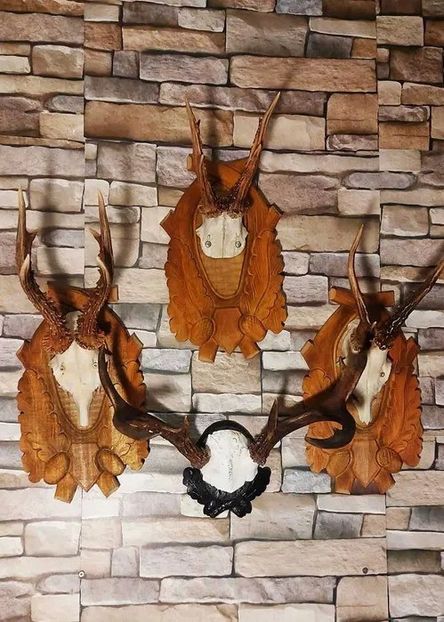 Set decorativ cu cerb american_1 - Seturi de trofee pentru decoruri rustice în vile și pensiuni