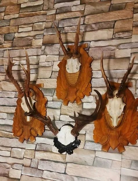 Set decorativ cu cerb american_2 - Seturi de trofee pentru decoruri rustice în vile și pensiuni