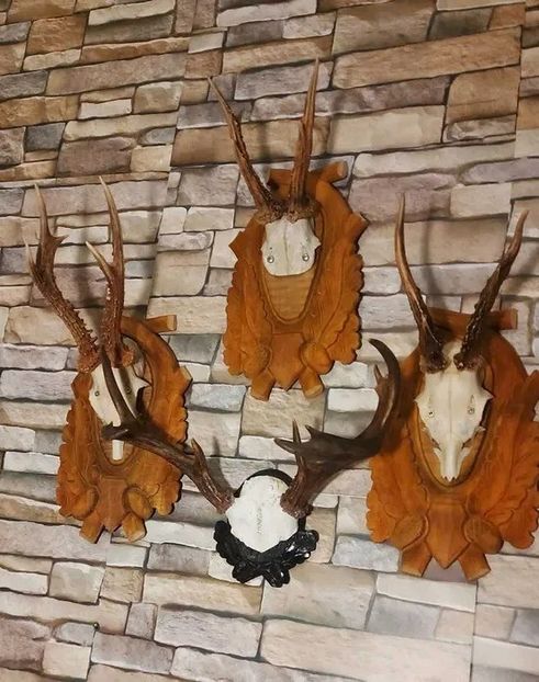 Set decorativ cu cerb american_4 - Seturi de trofee pentru decoruri rustice în vile și pensiuni