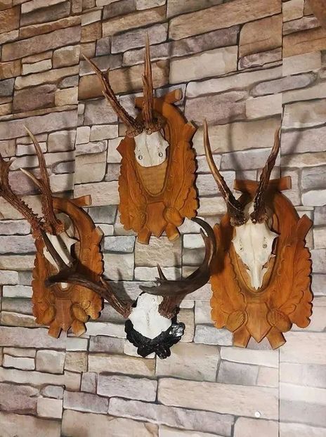 Set decorativ cu cerb american_5 - Seturi de trofee pentru decoruri rustice în vile și pensiuni