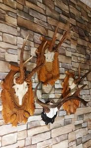 Set decorativ cu cerb american_6 - Seturi de trofee pentru decoruri rustice în vile și pensiuni