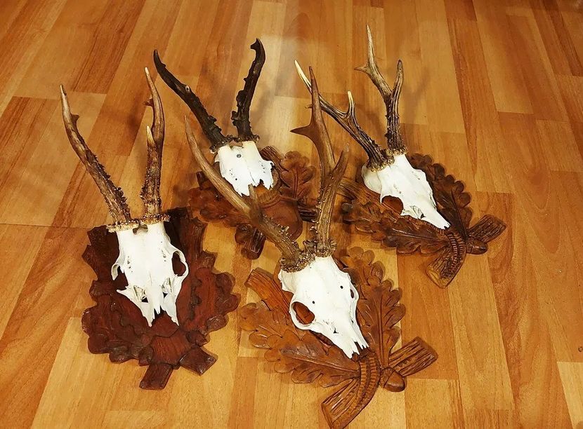Set de capriori vigurosi pe panoplii sculptate_1 - Seturi de trofee pentru decoruri rustice în vile și pensiuni