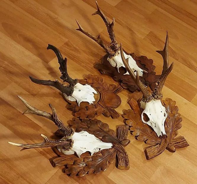 Set de capriori vigurosi pe panoplii sculptate_4 - Seturi de trofee pentru decoruri rustice în vile și pensiuni