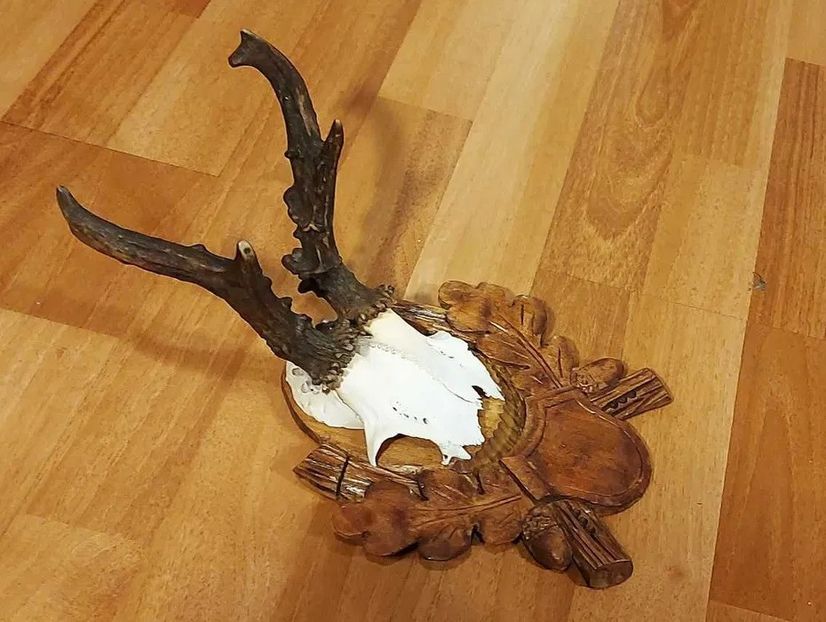 Set de capriori vigurosi pe panoplii sculptate_6 - Seturi de trofee pentru decoruri rustice în vile și pensiuni