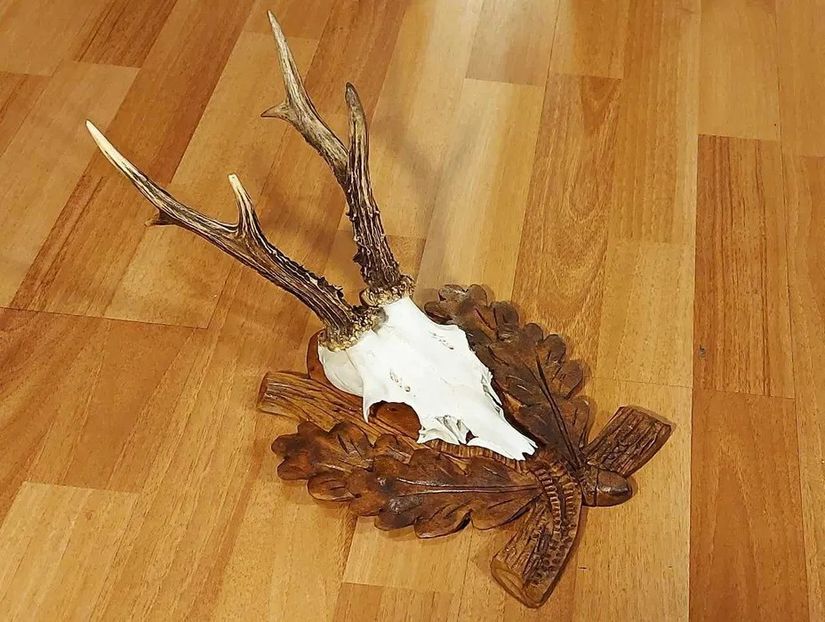 Set de capriori vigurosi pe panoplii sculptate_7 - Seturi de trofee pentru decoruri rustice în vile și pensiuni