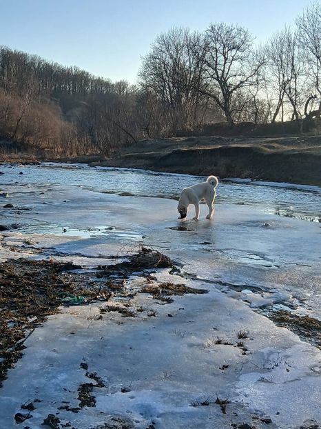 WhatsApp Image 2025-01-19 at 19.22.14 (1) - hira