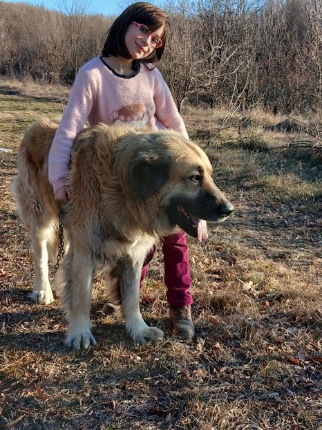 WhatsApp Image 2025-01-19 at 19.22.17 - caucazian rocky