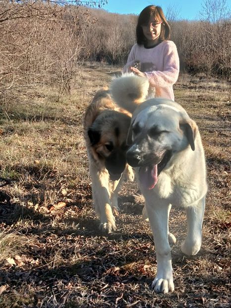 WhatsApp Image 2025-01-19 at 19.22.18 - caucazian rocky