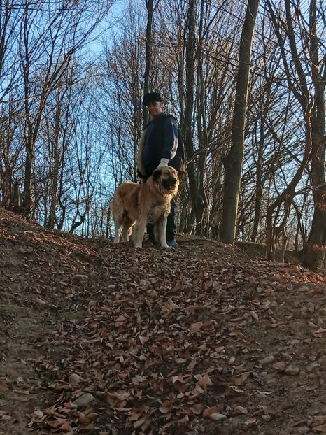 WhatsApp Image 2025-01-19 at 19.22.14 (2) - caucazian rocky