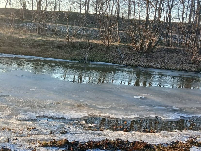 WhatsApp Image 2025-01-19 at 19.22.15 - natura